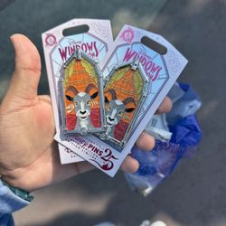 Disney window Of attraction Pin
