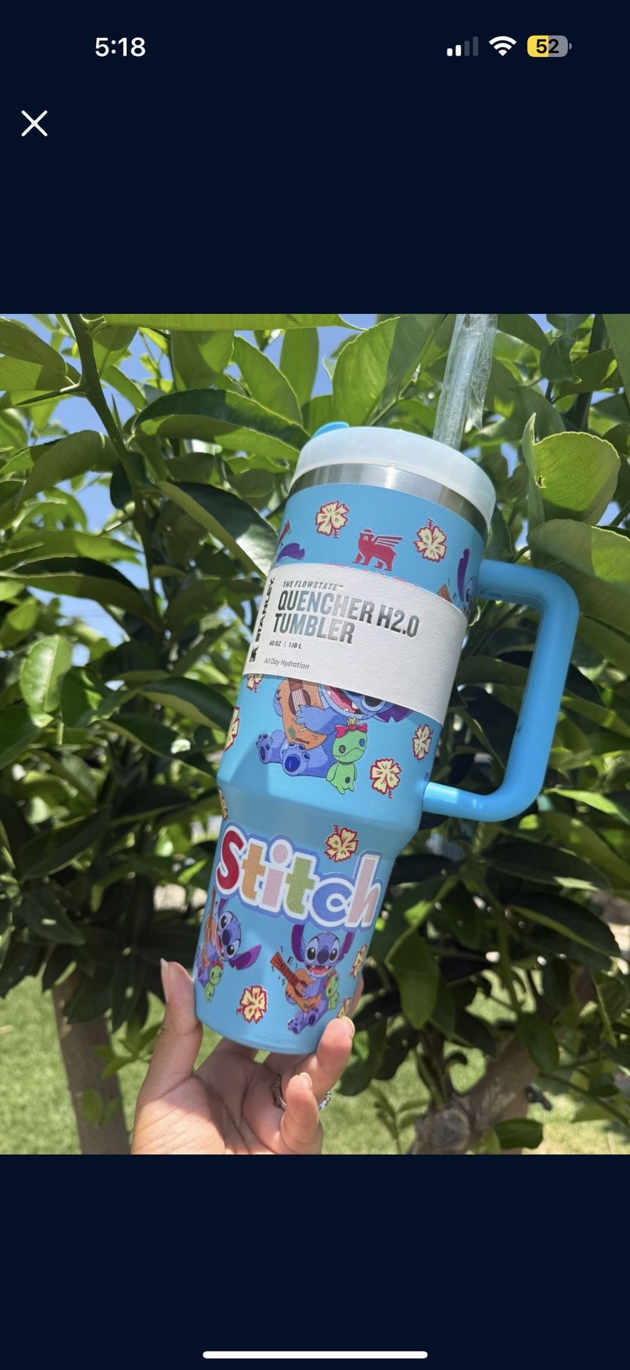 Stitch Cup