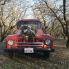 International Harvester
