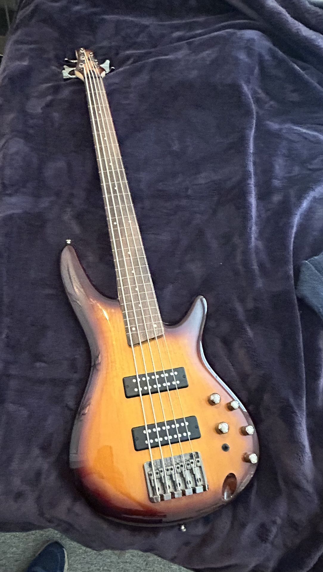Ibanez Fretles 5 String