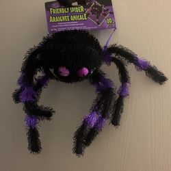 Friendly Spider 