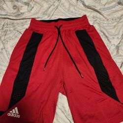 Adidas Basketball Shorts