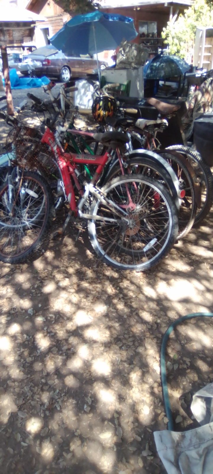 Variety Of Bicycles