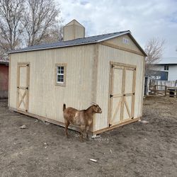 Rustic Sheds Backyard Customizable