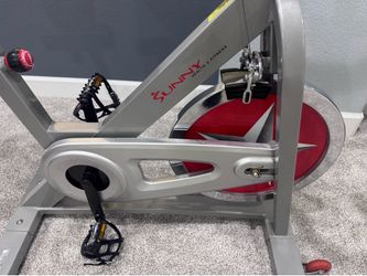 Sunny Spin Bike