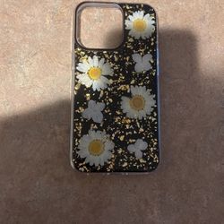 Case For iPhone 13 Pro