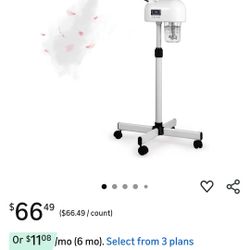 Facial Steamer
