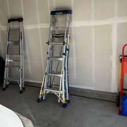 Werner Multi Max Pro 20 Reach Ladder 