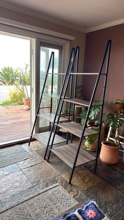 Ladder Shelves