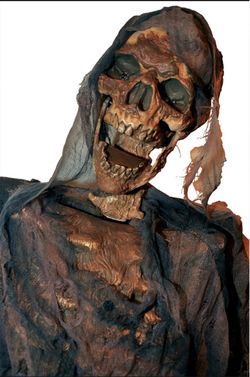 TWITCHING CORPSE ANIMATRONIC- Halloween