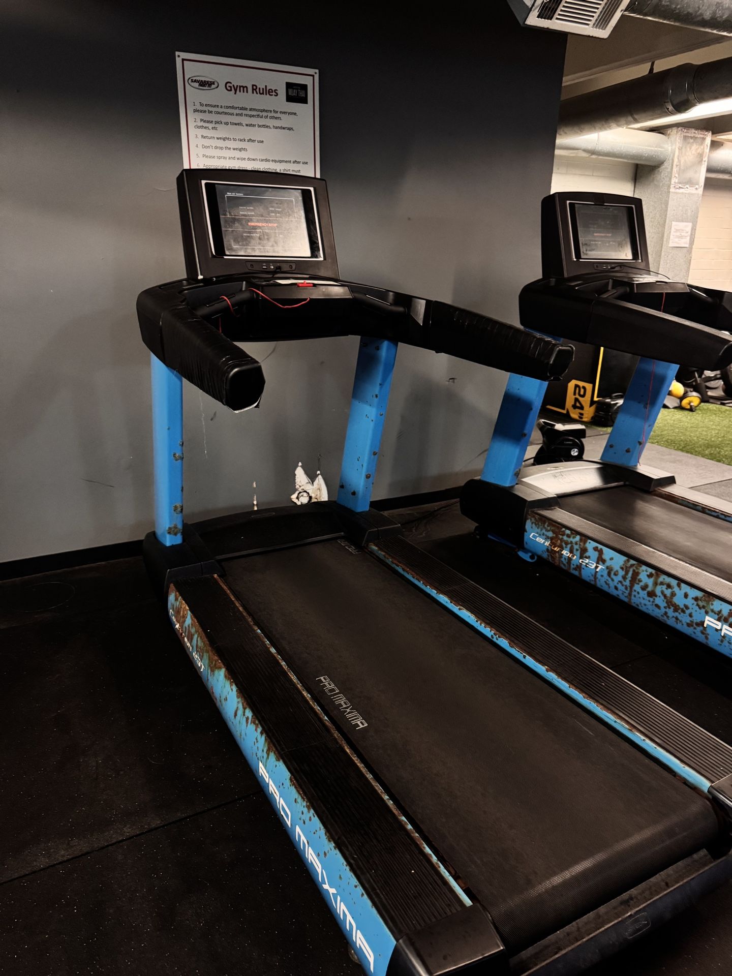 Promaxima Treadmill