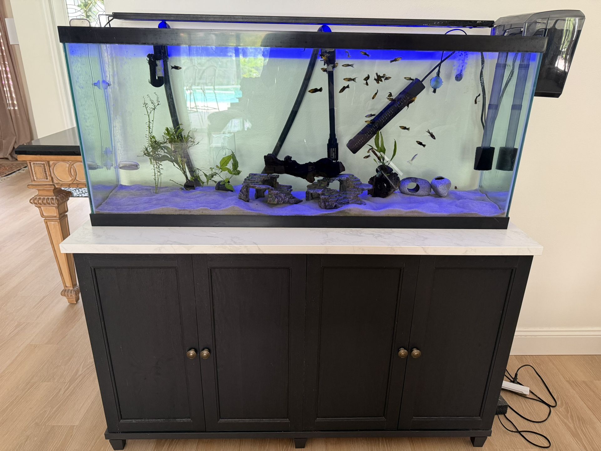 55 Gallon Glass Aquarium Tank + Stylish Black Cabinet Stand - Great Condition! 🐟