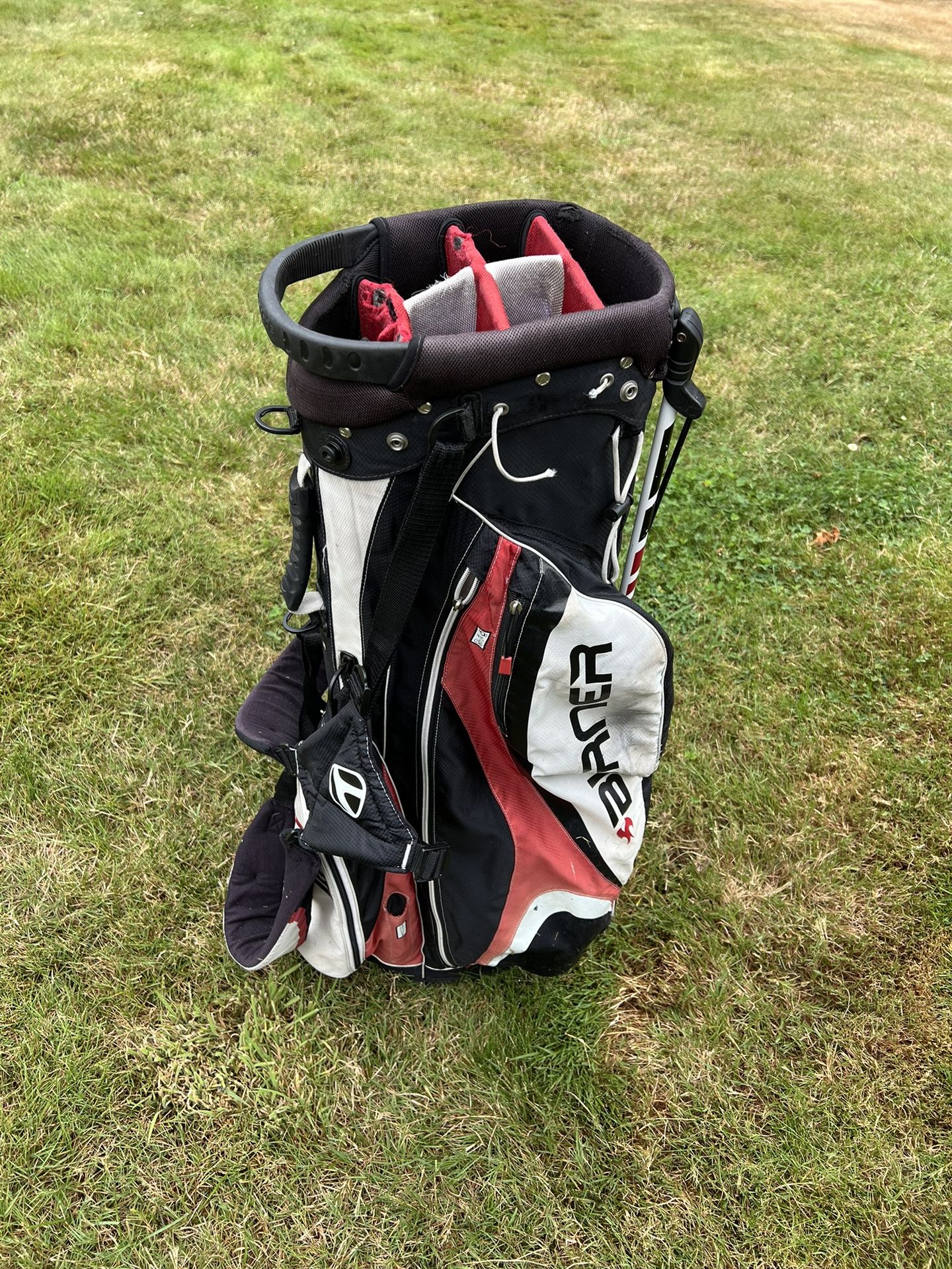 Taylormade burner golf bag