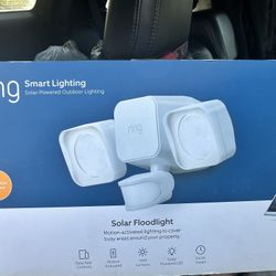 Ring Floodlight 