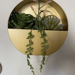 Target Project 62 Succulent Wall Decor