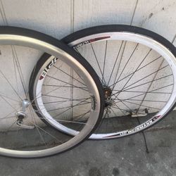Fixie Bicycle Tires And Rims