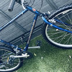 Vintage Schwinn Frontier 