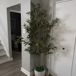 NEW 6.5 Tall Faux olive Tree