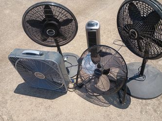 Fans