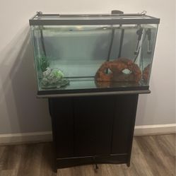 Fish Tank 