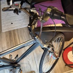 Giant Twix freedom Dx Hybrid E-bike ( Europen )