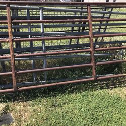 Horse Panels