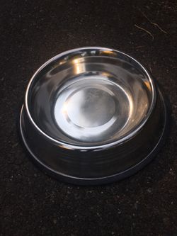Doggie/Cat Bowl