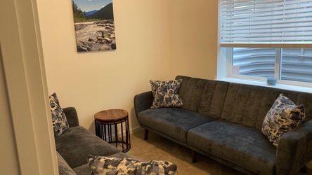 2 gray velvet modern sofas+ 4 matching pillows