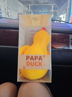 Big papa duck squishy