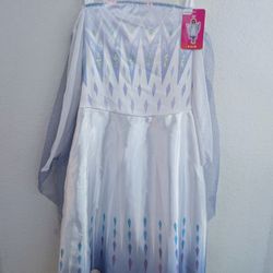 Frozen 2 Elsa Costume (4-6)