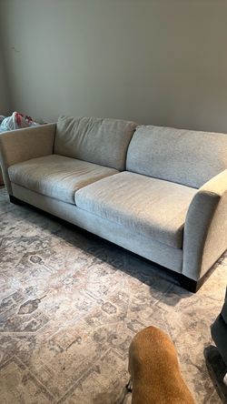 Light Gray Fabric Sofa with Dark Base