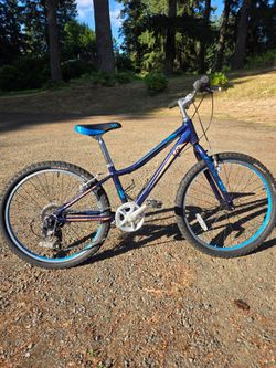 Enchanted Liv 7 speed bicycle