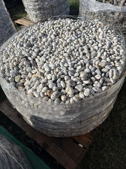 White Beach Pebbles