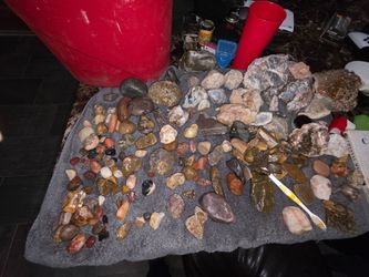 Rocks crystals and petrified wood