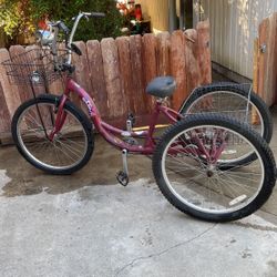Bicicleta