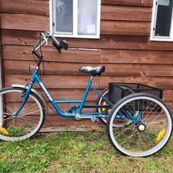 Torker Tricycle
