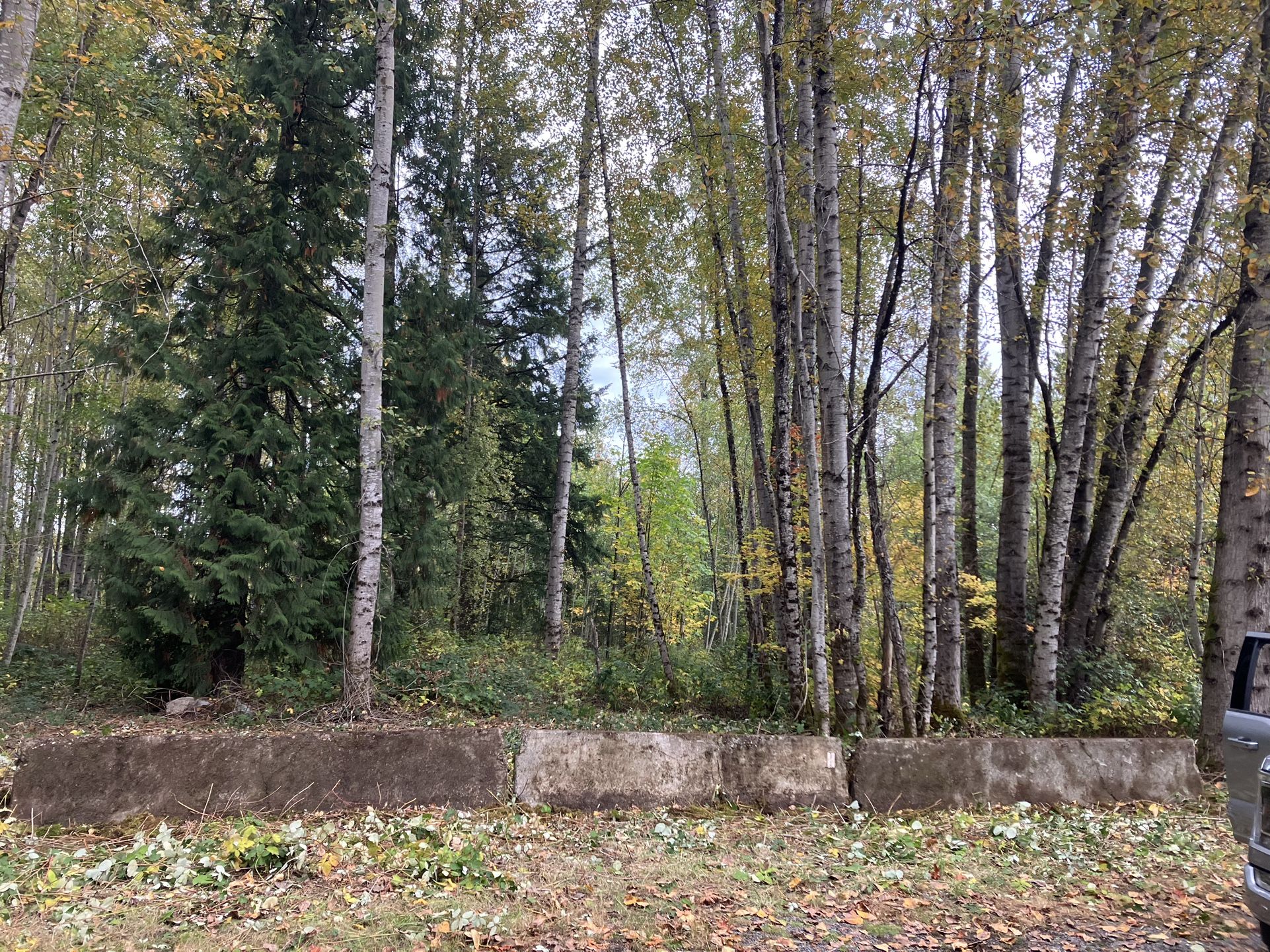 4 Large Concrete Freeway Barriers -Free