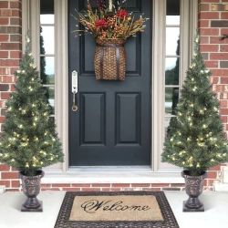 Outdoor Christmas Tree Set of 2 with Lights, 4 Ft Potted Decoration ,H137