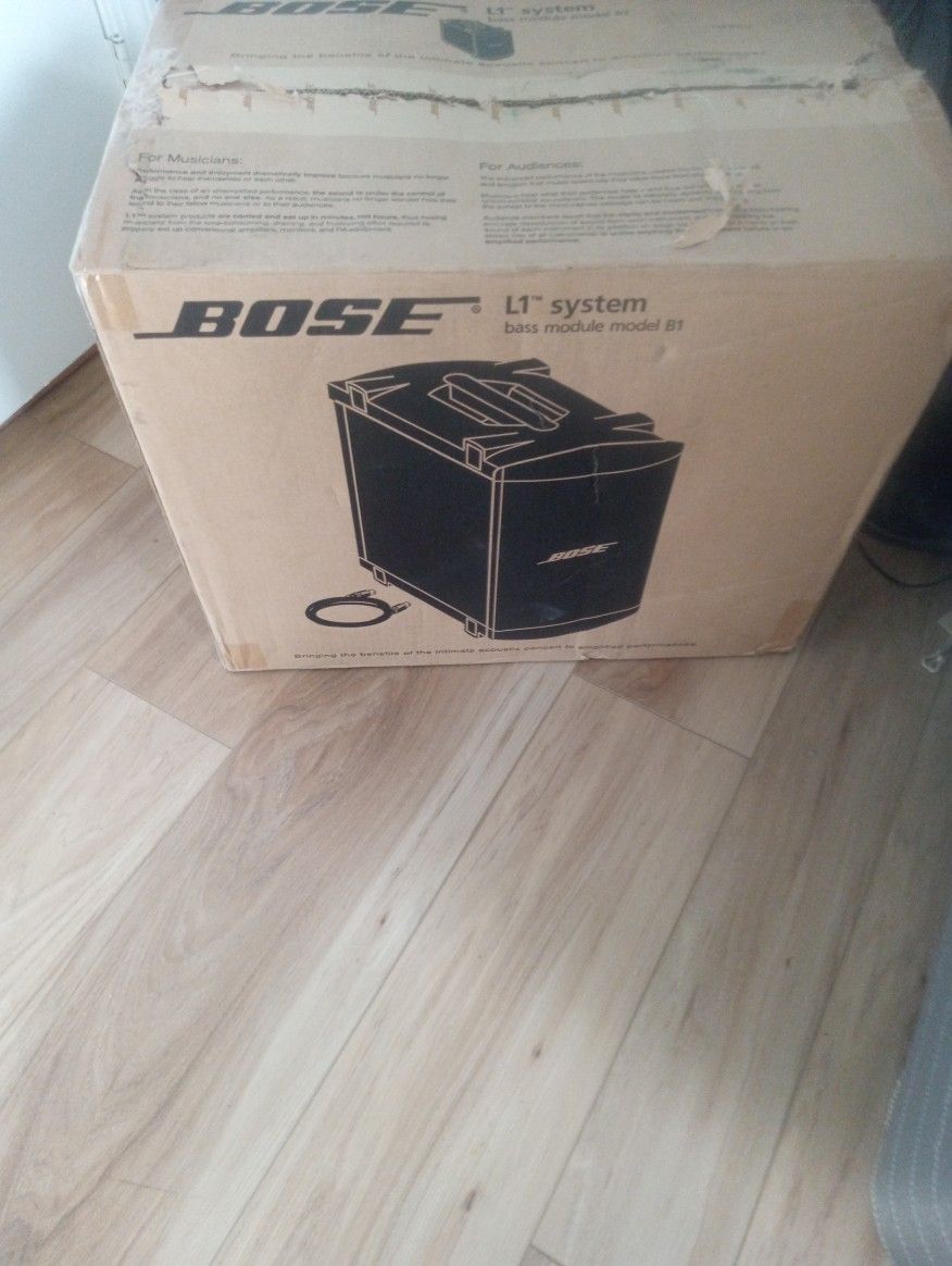 Bose L1 System