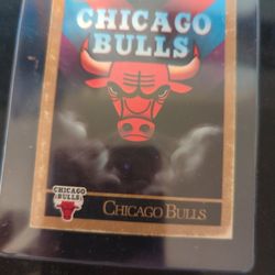Skybox 1990 Chicago Bulls Checklist 