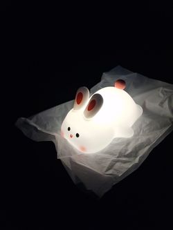 Rabbit night light.