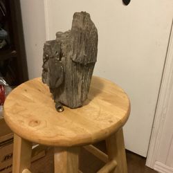 Petrified Wood
