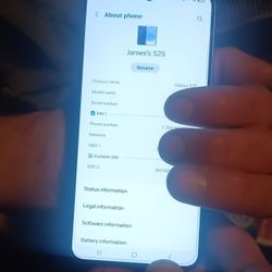 Samsung Galaxy S25 