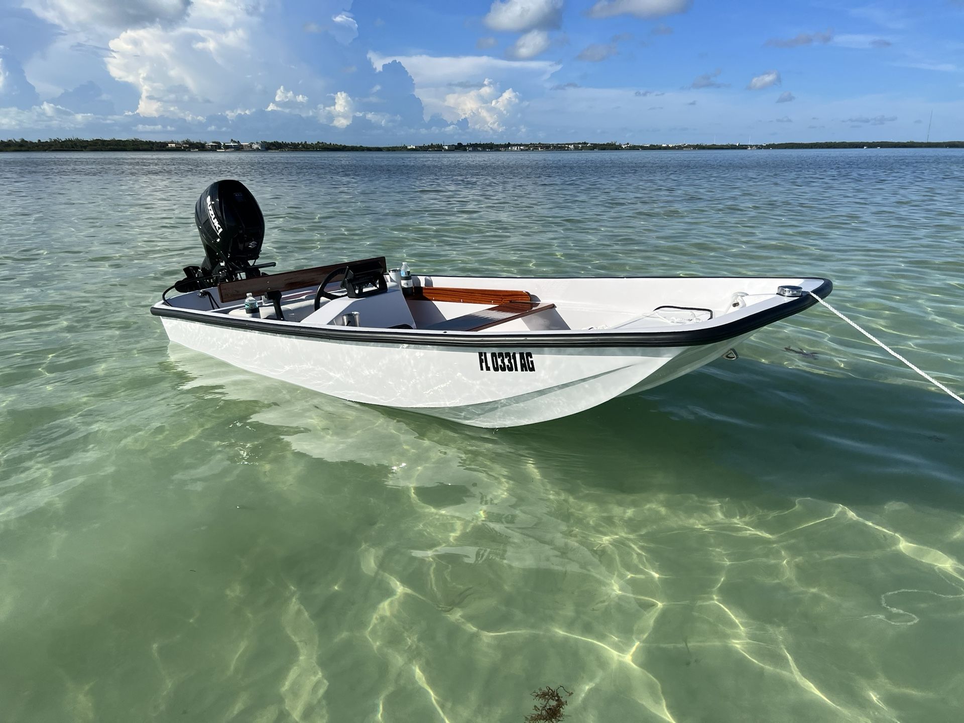 Boston whaler 13 Classic With Warranty