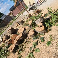 Firewood