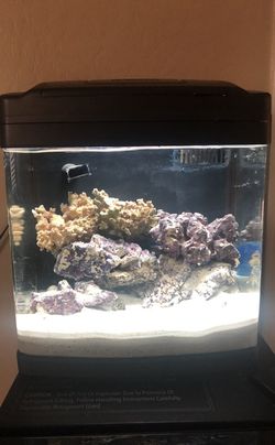 Biocube 8 aquarium salt water