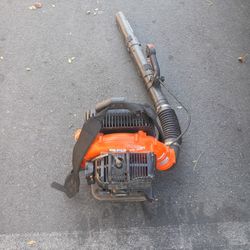 Echo Backpack Blower