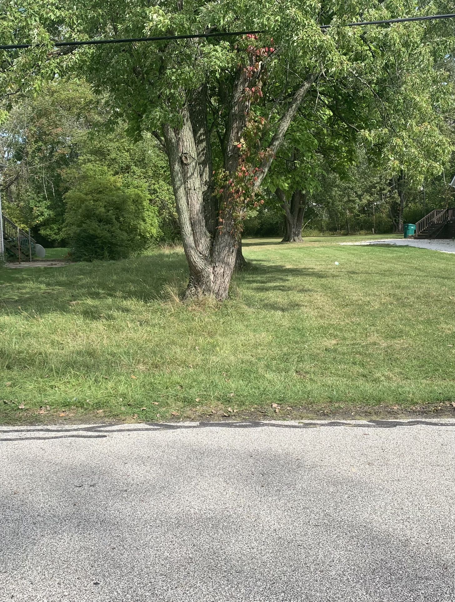 Real Estate: 1/2 Acre Lot For Sale In Oakwood Village