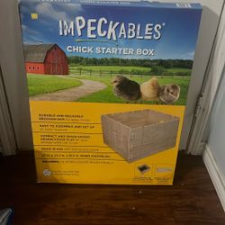 Impeckables Chick Starter Box