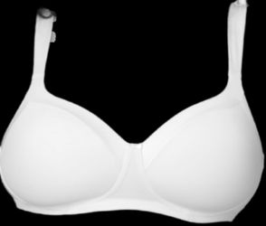 Playtex Women's Secrets  Full-Coverage Wireless Bra 36DDD